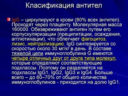 Антитела через плаценту