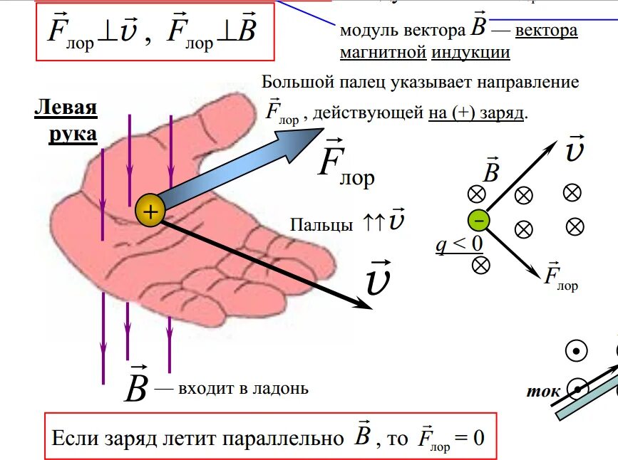 Как по правилу левой руки определить направление магнитной индукции. Магнитная индукция правило левой руки. Сила Ампера и сила Лоренца. Правила правой руки, левой (для силы Ампера и силы Лоренца).