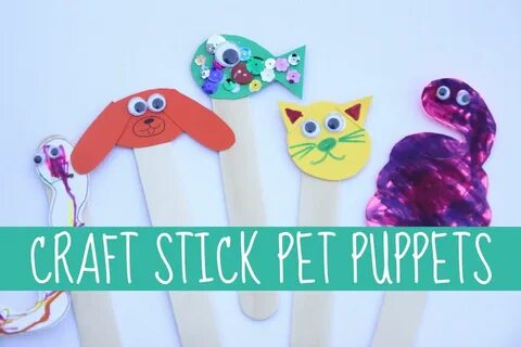 Pet week