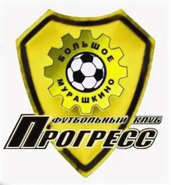 Фк прогресс. Прогресс большое мурашкино футбол. фк прогресс логотип. большое мурашкино стадион.