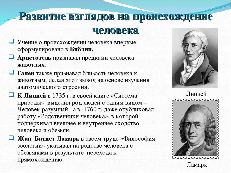 Значение эволюционных идей. Развитие взглядов на происхождение человека. Становление представлений о происхождении человека. Взгляды ученых на эволюцию. Взгляды ученых на происхождение человека.