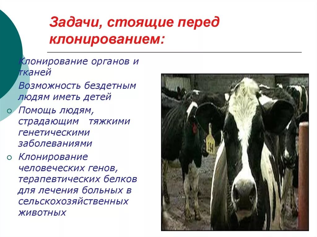 Клонирование животных людей. Задачи стоящие перед клонированием. задачи клонирования. клонирование (биология). цель клонирования.