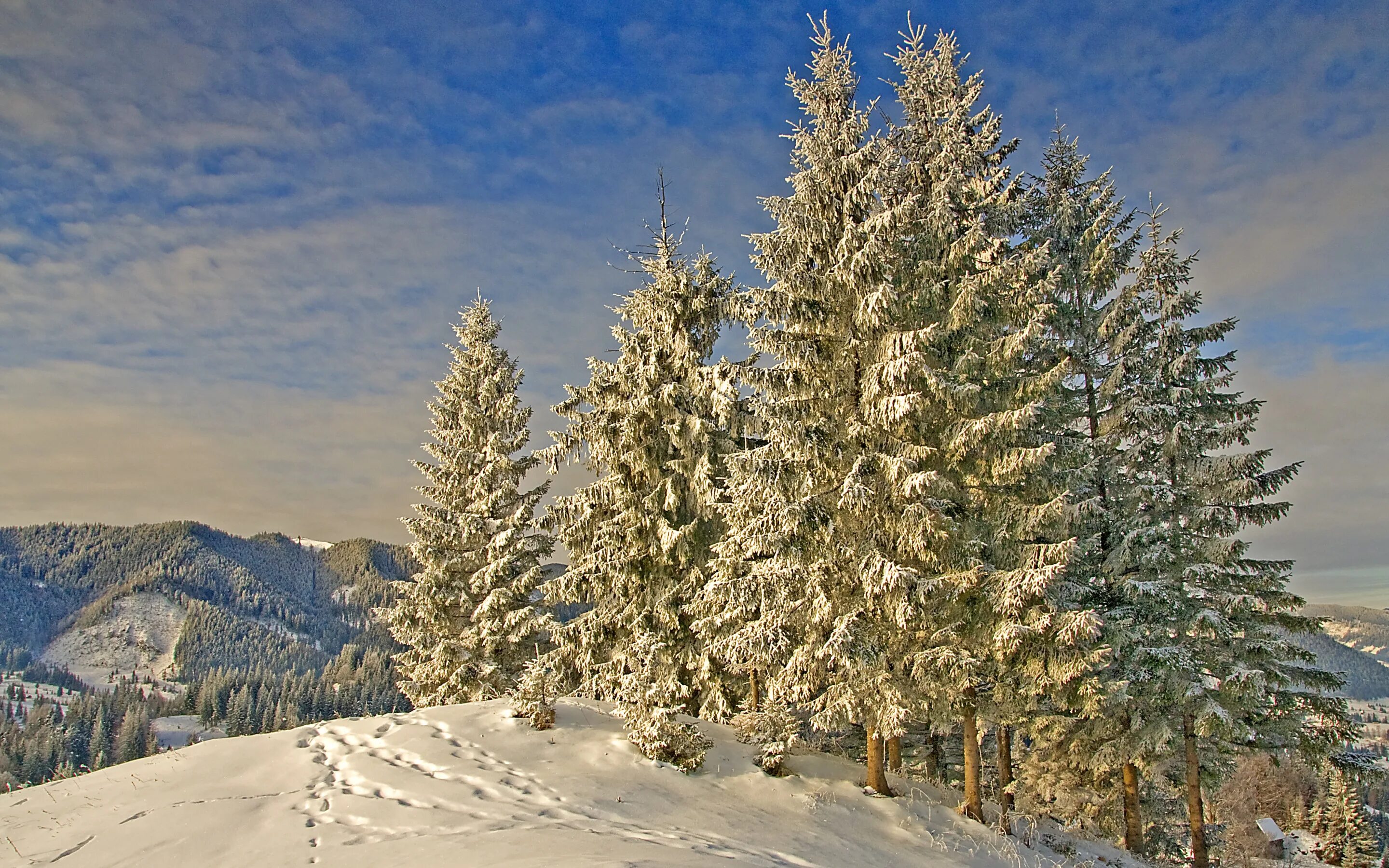 Download "Winter" wallpapers for mobile phone, free "Winter" HD pictures