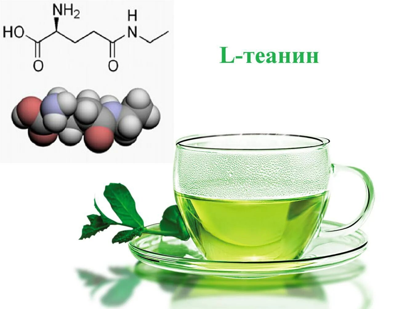 Теанин. L тианин. Аминокислота l теанин. Теанин в зеленом чае. Л теанин что это