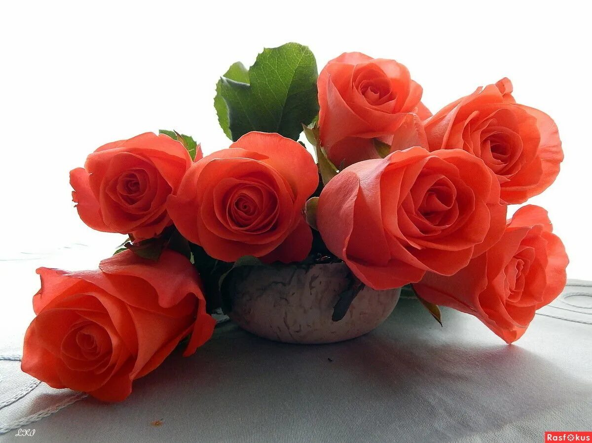 Цветы для ирины. Цветы для любимой женщины. Розы для любимой. Красивый букет роз для любимой. Розы для любимой женщины.