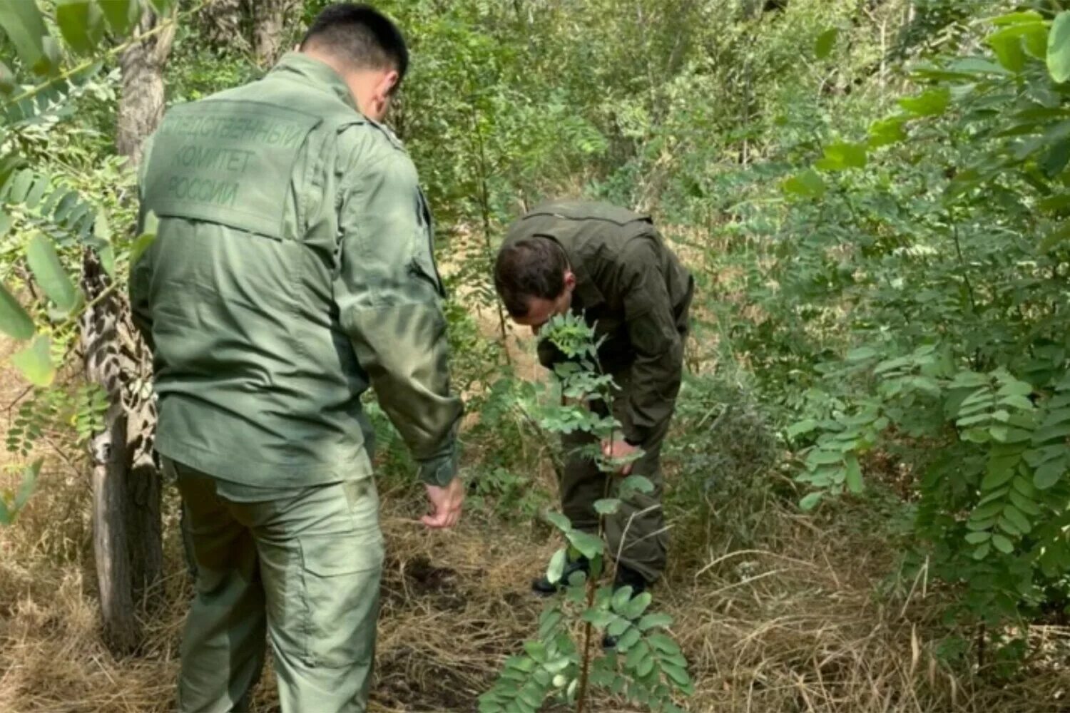 Нашли девочку ушедшую в лес. Нашли тело девушки в лесополосе в ростове. лесополоса украина.