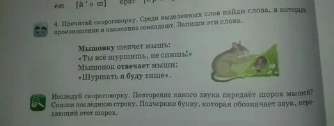 Мышь составить предложение
