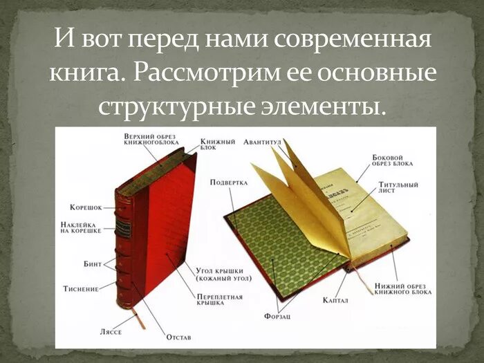 Какую книгу называют книга книг. Части книги как называются. Составные части книги названия. Части обложки книги как называются. Структурные компоненты книги.