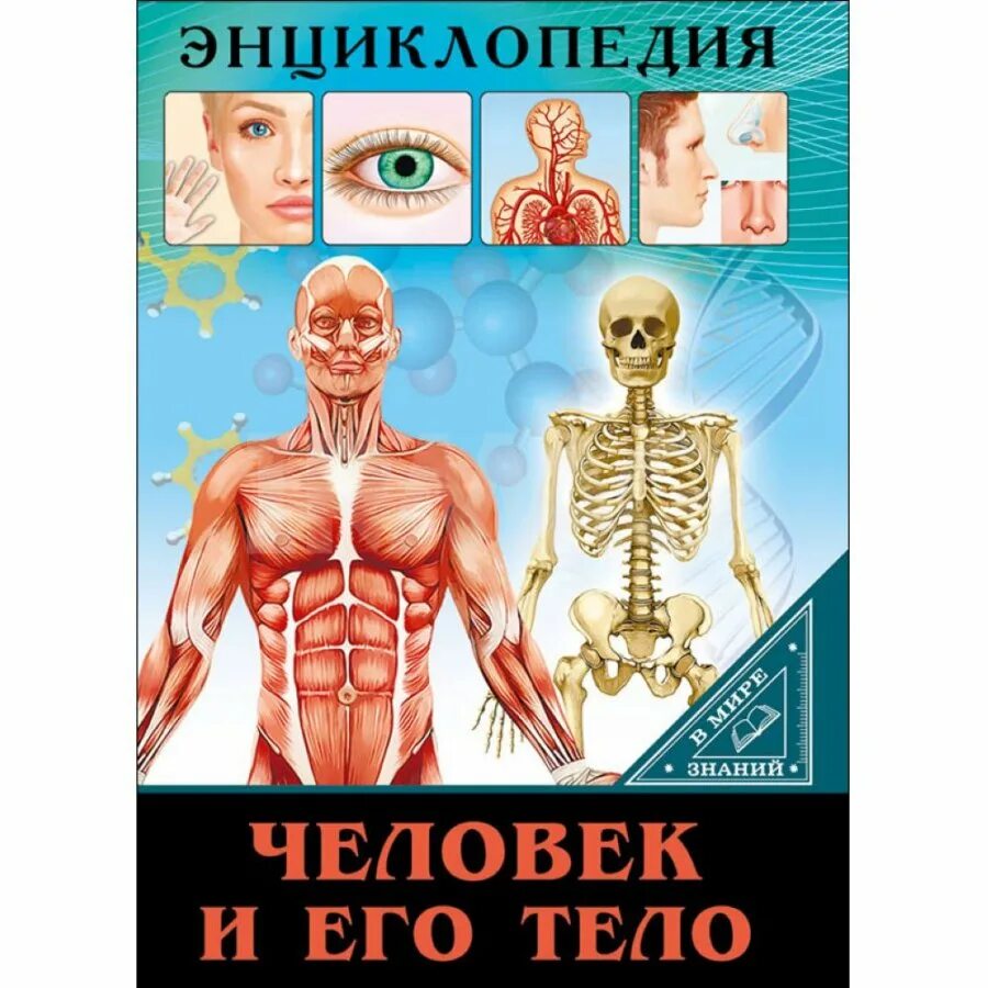 Человек знания читать. Энциклопедия человек и его тело. Энциклопедия человеческого тела. Умная энциклопедия тело человека. Тело человека. Детская энциклопедия.