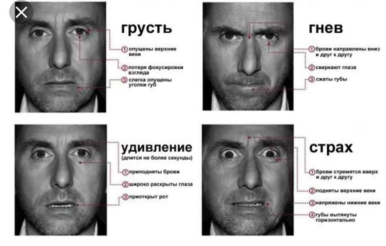 Отличить ложь. Мимика пол Экман. Обмани меня тим рот эмоции. Пол Экман теория лжи. Мимика эмоций пол Экман.