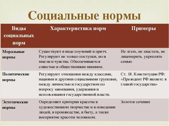 Любая социальная норма ответы. Социальные нормы. Обычаи примеры социальных норм. Социальные нормы примеры. Разновидности социальных норм.