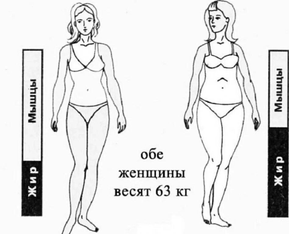 Отличаются легким весом и. Фигура при одинаковом весе. Один вес разные фигуры. Отличаются легким весом и. Разница между массой и весом.