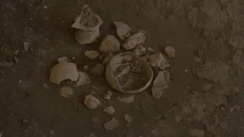 Digging site
