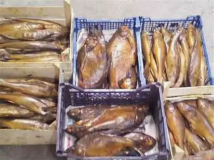 Коптильня для мяса. Хамса копчения. Производство рыбы горячего копчения. Рыба холодного копчения килька. Коптильня горячего и холодного копчения для производства.
