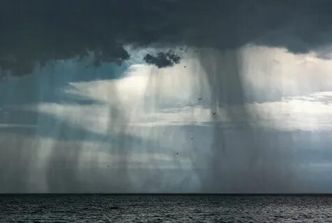 Дождь в белом море