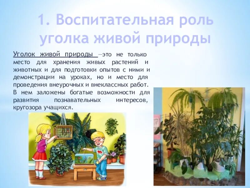 В живом уголке 4. Живой уголок презентация. Описание уголка природы. Описание какого нибудь уголка природы.