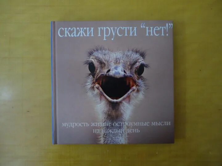 Грусти нет. Скажи нет грусти. Для грусти нет причин. Нет причины для печали. Скажи грусти нет книга.