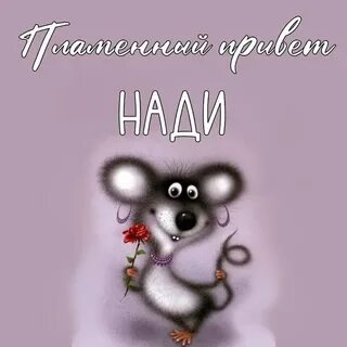 Привет сестра картинки