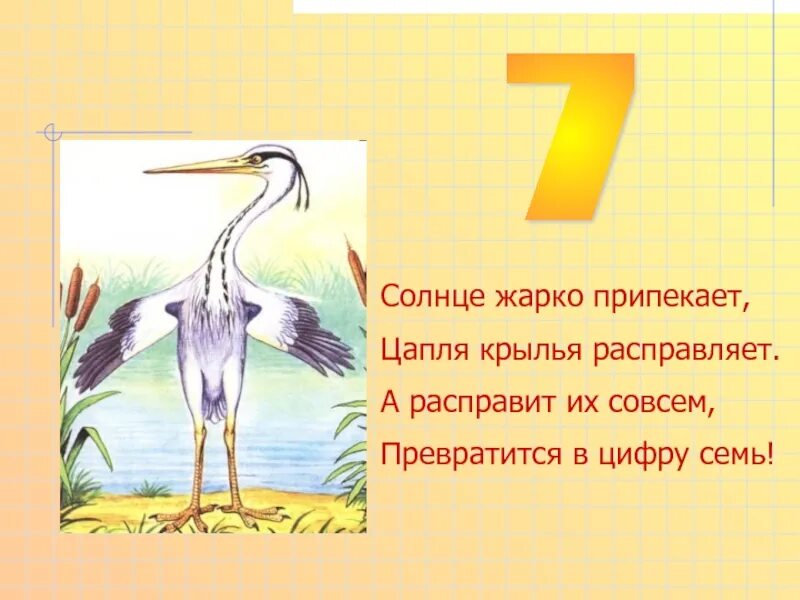 Цапля цифра 7. На что похожа цифра 7. Семь в виде Цапли. Цапля похожа на цифру 7.