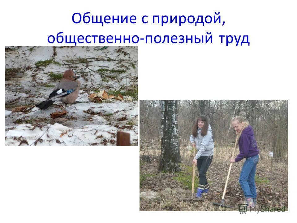 Отделению ремесла от торговли способствовали. Этапы общественного разделения труда. Общинный труд. Общинный труд. Общинный труд.