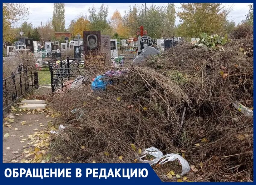 Северное кладбище ростова на дону. Братское кладбище ростов-на-дону. Кладбища города ростова на дону. Мордухович северное кладбище ростов на дону. Кладбища города ростова на дону.