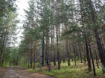 Участок кыштым