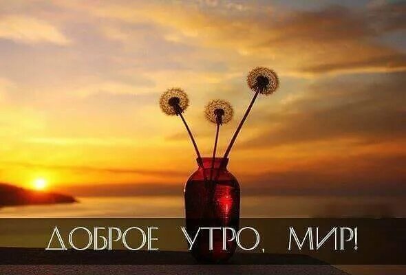 Доброе утро мир песня. Доброе утро мир песня