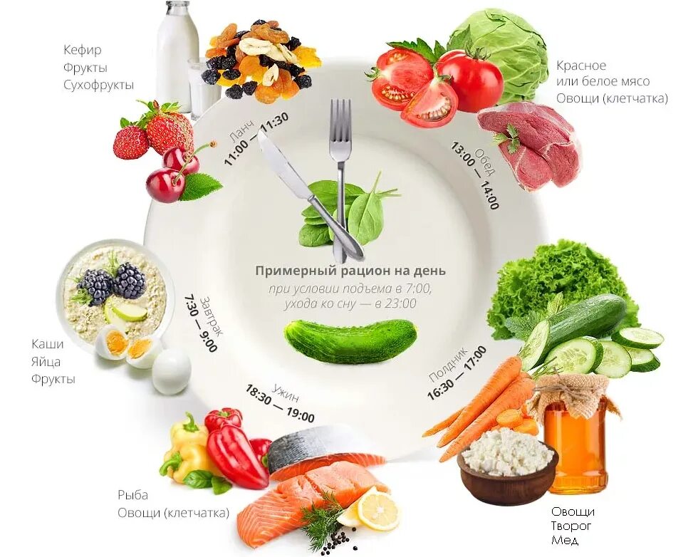 5 раз питание. Примерный рацион правильного питания для похудения на каждый день. Как составить правильно рацион по питанию для снижения веса. Схема ПП питания для похудения. Рацион на день по времени правильного питания.