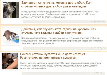 Что делать если кот метит в квартире
