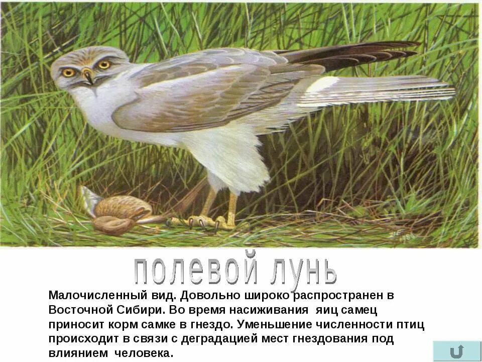 Robert downey jr. Вид довольно. Вид довольно. Река темза в великобритании. Виды москвы.