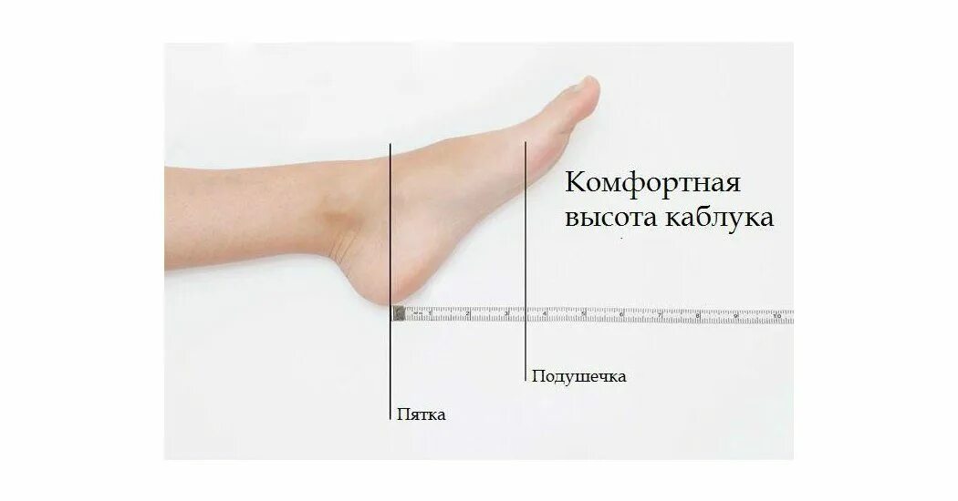 Мерить высоту. Как правильно мерить высоту каблука. как меряют высоту каблука. откуда мерить высоту каблука. как правильно мерить высоту каблука на туфлях.