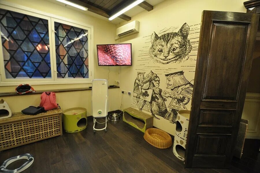 Котокафе новокузнецк. Котокафе котики и люди. котокафе котики и люди улица гиляровского. кафе коты и люди москва.