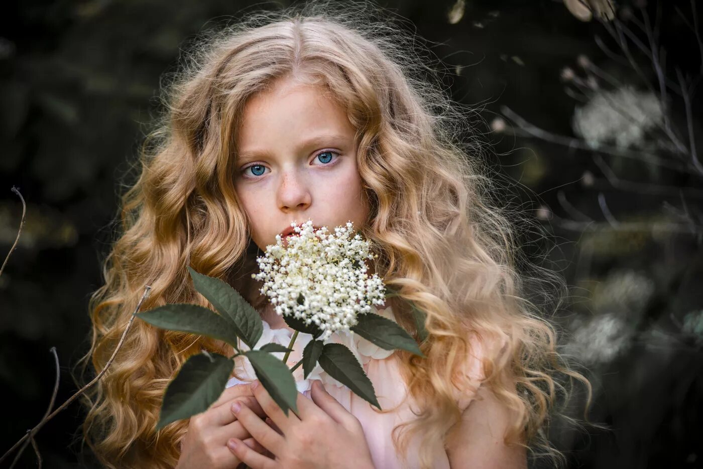 Картинка без авторских. Девочка с цветами. Красивый портрет девочки. Фотопортрет с цветами. Портрет девочки с цветами.