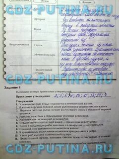 Тетрадь по биологии 7 класс суматохин