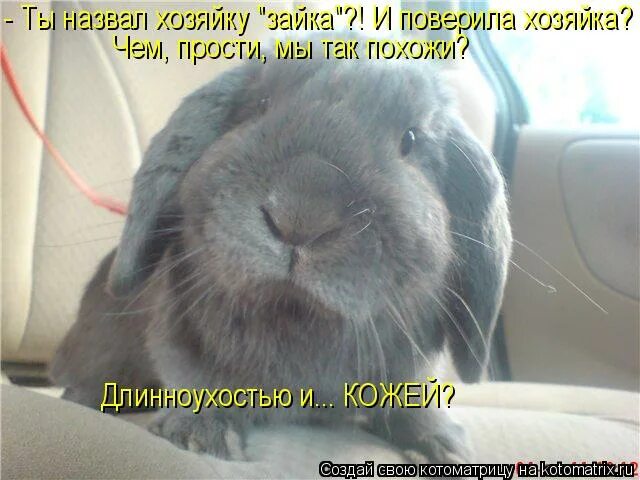 Как звали хозяйку на дне. Называй меня зайка называй меня. Хозяйке на заметку картинки. День хорошей хозяйки 18 декабря. Хозяйке на заметку.