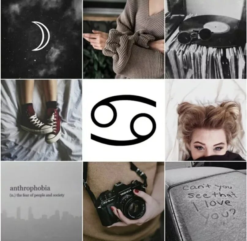 Эстетика знака зодиака козерог. Знаки зодиака эстетика. Эстетика девы. Эстетика знака зодиака лев. Эстетика фотографа коллаж.