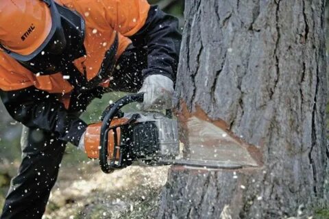 Валка бензопилами