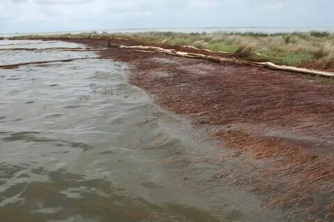 Белая полоса на реке