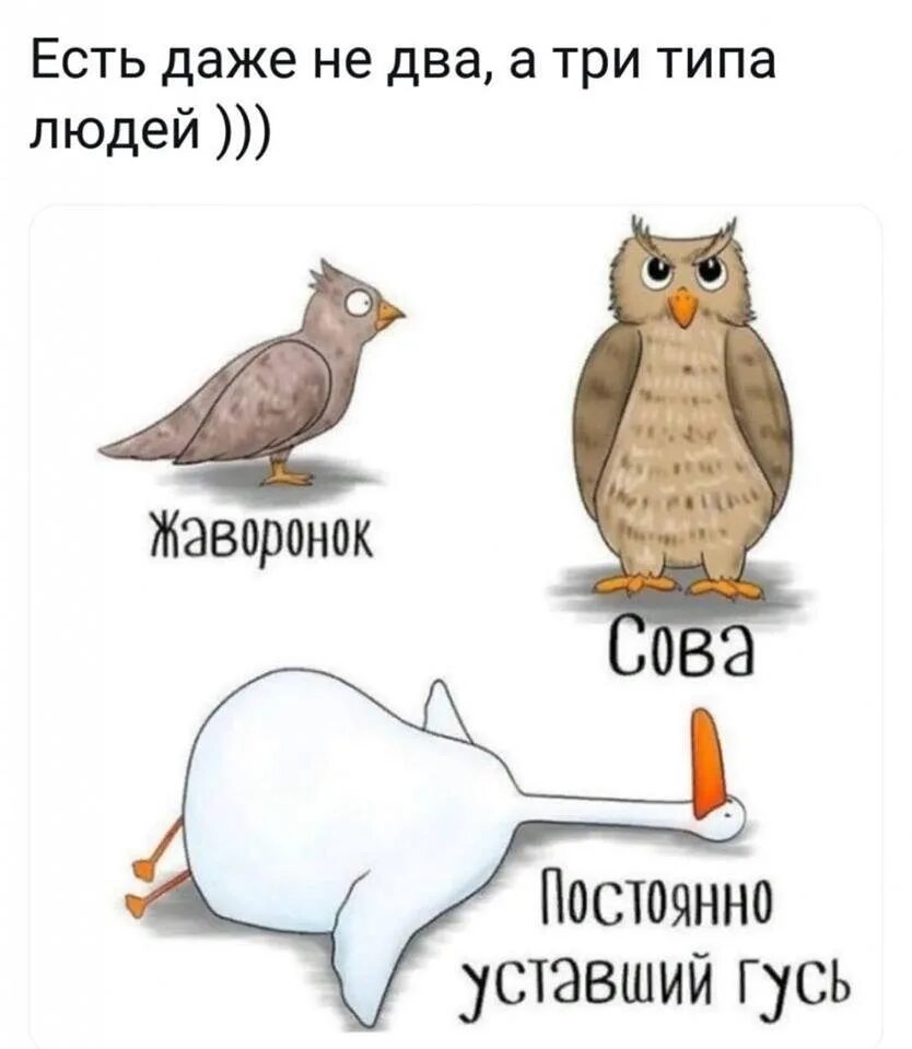 Есть даже несколько
