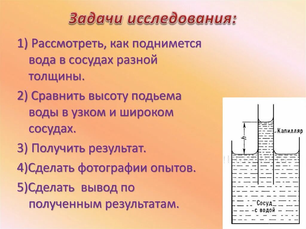 Сообщение на тему капиллярные явления в природе. Капиллярность почвы. капиллярные явления в технике. капиллярность почвы нормы. капиллярные явления в природе и технике.