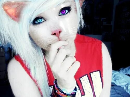 Эмо кошка игра. Кот с челкой эмо. Эмо кот арт. Котик эмо мем. Кот с челкой эмо.