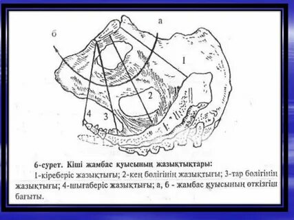 Жалаңаш, әдемі спортшы қыздардың суреттері