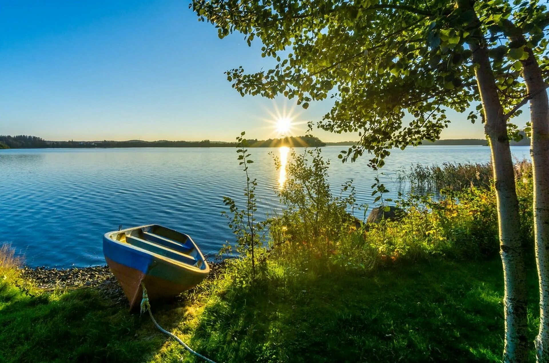 Утренняя природа. Озеро кипень ленинградская область. Летний закат на реке. Река. Солнечный берег реки.