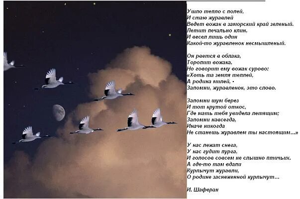 Улетаем в небеса песня слушать. Стихотворение Журавленок. Журавленок текст. Журавлёнок песня текст. Песня Журавленок.