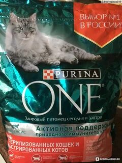 Хороший ли корм для кошек