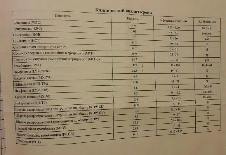 Расшифровка общего анализа крови соэ. Лейкоциты анализ крови расшифровка. Расшифровка анализа крови лейкоциты норма. Лейкоциты обозначение в анализе крови норма. Анализ крови лейкоциты 1.0.