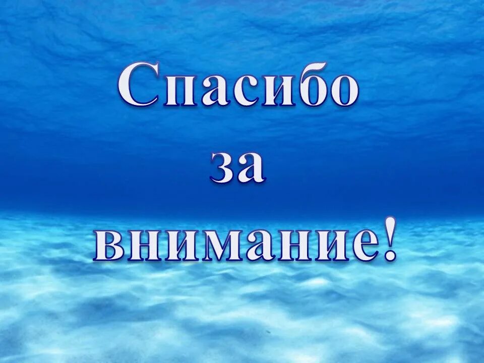 Поблагодарить море. Спасибо за внимание море. Спасибо за внимание для презентации море. Спасибо за внимание океан. Спасибо за внимание акула.