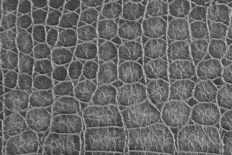 Alpha texture
