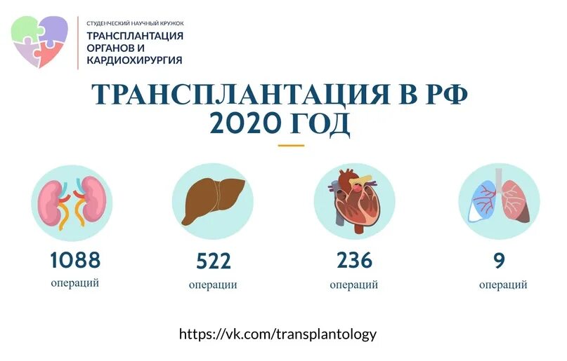 Трансплантация органов статистика. Статистика трансплантации органов в мире. Трансплантация органов в России статистика.