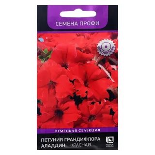 Петуния поиск